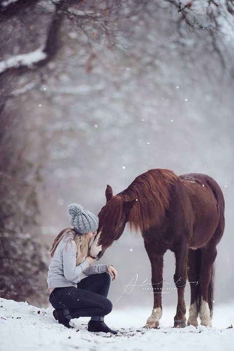 Horse Photoshoot Ideas, Horse Photography Poses, Pictures With Horses, Winter Horse, Horse Inspiration, Photography Winter, Most Beautiful Horses, Horse Equestrian, Pet Photography