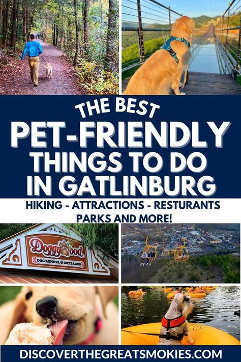 Gatlinburg pet-friendly photo collage Tennessee Family Vacation, Things To Do In Gatlinburg, Gatlinburg Tennessee Vacation, Tennessee Road Trip, Smokey Mountains Vacation, Gatlinburg Vacation, Smoky Mountains Vacation, Tennessee Travel, Tennessee Vacation