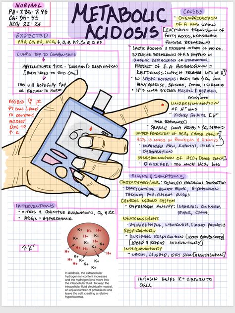 Metabolic Acidosis Nursing, Metabolic Acidosis Vs Alkalosis, Respiratory Acidosis Nursing, Metabolic Alkalosis Nursing, Nursing Pathophysiology Concept Maps, Metabolic Alkalosis, Pathophysiology Nursing, Charting For Nurses, Nursing School Organization