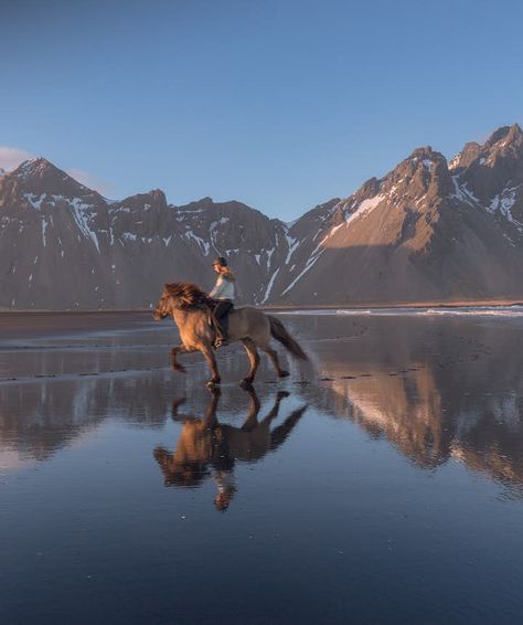 Horse Riding Photography, Icelandic Ponies, Iceland In May, Pony Riding, Island Horse, Icelandic Horses, Icelandic Horse, Full Of Love, Horse Photos