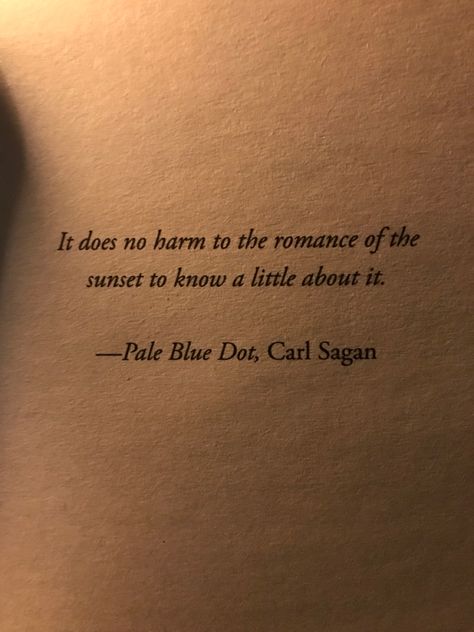 Pale Blue Dot Tattoo, Blue Dot Tattoo, Carl Sagan Tattoo, Pale Blue Dot Quote, Carl Sagan Quotes, Leo Moon, Leo Sun, Dot Tattoos, Pale Blue Dot