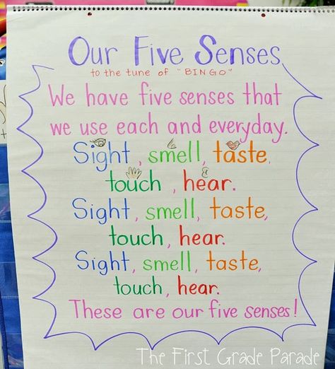 5 Senses song to the tube of Bingo 1st Grade Songs, Five Senses First Grade, Songs About 5 Senses Preschool, Apple 5 Senses, 5 Senses Preschool, Five Senses Preschool, 5 Senses Activities, First Grade Parade, Senses Preschool