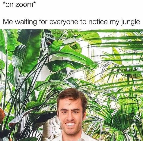 24 Plant Memes For The Botanically Minded Funny Gardener Memes, Too Many Plants Funny, Houseplant Memes, Plant Humor, Plant Jokes, Garden Humor, Gardening Memes, Text Messages Humor, Camping Vacation