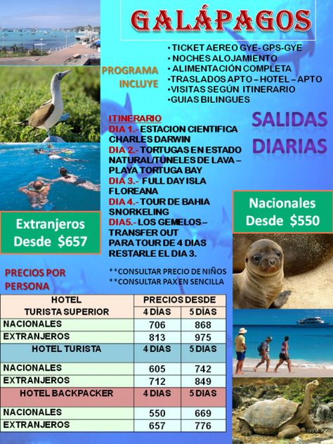 Islas galapagos a tu alcance con guani tours! Islas Galapagos Ecuador, Galapagos Ecuador, Snorkeling, Ecuador