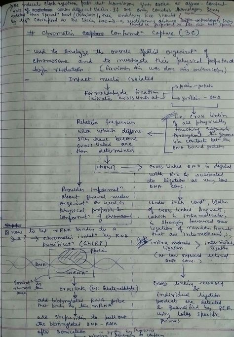 Messy Math Notes, Academic Obsession, Messy Notes, Study 2023, Highschool Au, Messy Handwriting, Good Phone Backgrounds, Essay Writing Examples, Colleges For Psychology