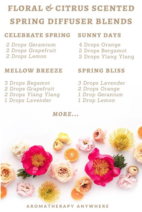 The combination of floral and citrus scents gives these blends a fresh and invigorating aroma with hints of floral scents. These essential oil blends are perfect for adding to your diffuser in spring. Fresh Scent Essential Oil Blends, Scent Combinations Fragrance, Fresh Essential Oil Blends, Candle Scents Recipes Fragrance, Candle Scent Combinations Essential Oils, Essential Oil Combinations For Candles, Candle Fragrance Blends, Flower Diffuser Blends, Floral Oil Blends