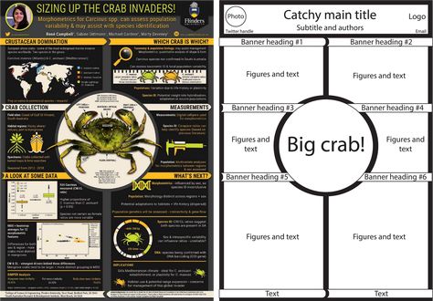 Scientific Poster Design, Conference Poster, Scientific Poster, Rule Of Thirds, Twitter Handles, Earthy Colors, Stick It Out, Cool Posters, Poster Design