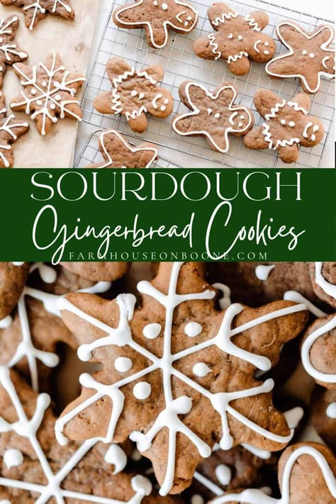 A tangy take on these classic cookies, Sourdough Gingerbread Cookies are a nostalgic, holiday favorite. Follow along to create delectable gingerbread men and unforgettable Christmas season flavors that blend sourdough depth with ginger spice warmth. Sourdough Gingerbread, Sourdough Christmas, Cookies Sourdough, Sourdough Starter Bread, Easy Sourdough Recipes, Sourdough Cookies, Starter Bread, Sourdough Starter Discard Recipes, Starter Discard Recipes