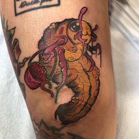 Fun little maggot buddy I got to do for a great client last weekend. Thank you again for these fun ideas and for your support @felicetea.li truly means the world! Up for more fun ideas like this! @incantationsonwhyte @shadowwolf_ink #maggot #maggottattoo #bug #bugtattoo #bugtattoos #funtattoo #funtattoos #edmontontattoo #edmontontattoos #edmontontattooartist #edmontonart #edmontonartist #yegtattoo #yegtattoos #yegtattooartist #yegart #yegartist #colortattoo #colortattoos #whyteavetattoo... Maggot Tattoo, Edmonton Tattoo, Bug Tattoo, Fun Ideas, Color Tattoo, Tattoos And Piercings, Cool Tattoos, Tattoo Artists, More Fun