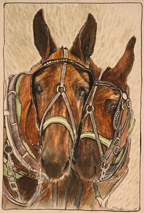 100 Paintings Mule Team 48 by Susie Gordon Watercolor / Ink ~ 7 x 5 Mules Animal, Barn Wood Art, Painting Horses, Paintings Pictures, Horse Drawings, Watercolor Ink, Work With Animals, Horse Drawn, Horse Art