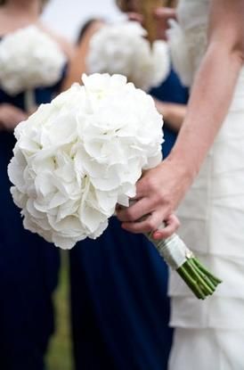 White Hydrangea Bouquet with the horizon blue dresses for maid/matron of honor White Hydrangea Bouquet, White Hydrangea Wedding, Hydrangea Bridal Bouquet, Wedding Flowers Hydrangea, White Hydrangeas, White Bridesmaid, Hydrangea Bouquet, Hydrangeas Wedding, White Wedding Flowers