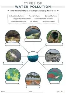 Types of Water Pollution Worksheet - Water Pollution Chart Ideas, Water Pollution Worksheet, Types Of Blood Cells, Types Of Water, Word Boxes, Ocean Pollution, Contaminated Water, Water Pollution, Parts Of A Flower