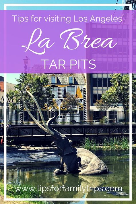 5 tips for visiting the La Brea Tar Pits in Los Angeles, California. This is an unusual and fascinating destination for fossil lovers in the heart of the city. Get tips for making the most of your visit, plus how to get discounts and free admission! | tipsforfamilytrips.com | Southern California | Hollywood | things to do in Los Angeles with kids | educational | paleontology | museums | spring break ideas | summer vacation ideas | family travel Hollywood Things To Do, Spring Break Ideas, La Brea Tar Pits, Summer Vacation Ideas, California Attractions, California Hollywood, Break Ideas, Visit Los Angeles, Los Angeles With Kids