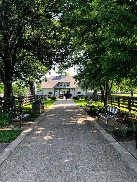 Sharing everything that is on my list for summer 2019 in Lexington, Kentucky - from visiting a Horse Farm to hitting up the Farmer's Market. // Helen Loves #travel New England Horse Farms, Virginia Horse Farm, Kentucky Aesthetic, Jumping Aesthetic, Kentucky Summer, Kentucky Horse Farms, Animals Aesthetic, Tips Design, Types Of Grass