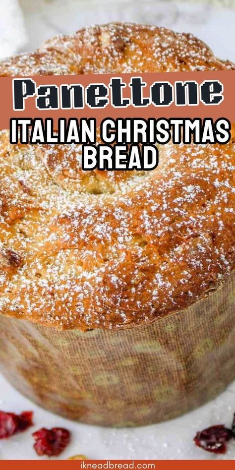 Italian panettone is a classic Christmas bread that's loved for its sweet, fruity flavor and rich, buttery texture. This traditional Italian dessert is often enjoyed during the holiday season, but it's delicious any time of year.With its distinctive dome shape and festive decorations, panettone makes a beautiful and indulgent addition to any holiday celebration. Easy Panettone Recipe, Italian Christmas Bread, Artesian Bread, Italian Christmas Desserts, Panettone Cake, Italian Christmas Cake, Panettone Bread, Italian Panettone, Panettone Recipe