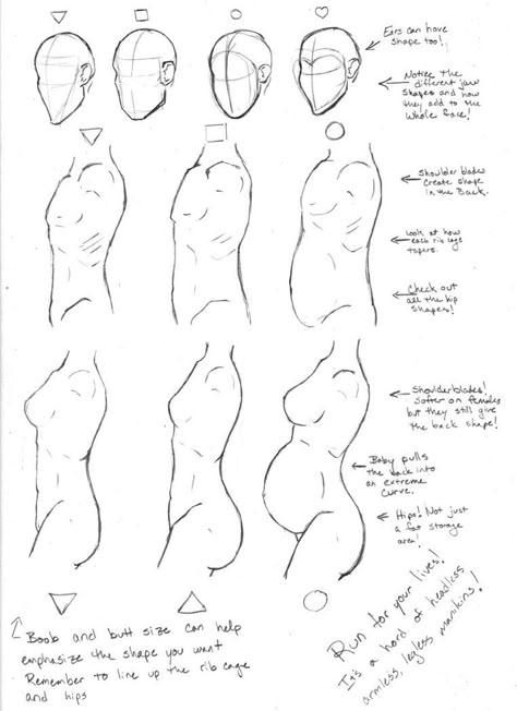 Human Anatomy Reference, Anime Tutorial, Human Anatomy Drawing, Body Drawing Tutorial, Body Reference Drawing, Anatomy Drawing, Body Drawing, Anatomy Reference, Drawing Practice