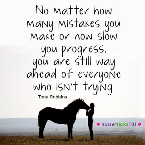 Keep Trying Quotes, Trying Quotes, Country Life Quotes, Horse Tricks, Motivational Quotes For Workplace, Workplace Quotes, Positive Quotes For Work, Motivational Affirmations, Have A Great Week