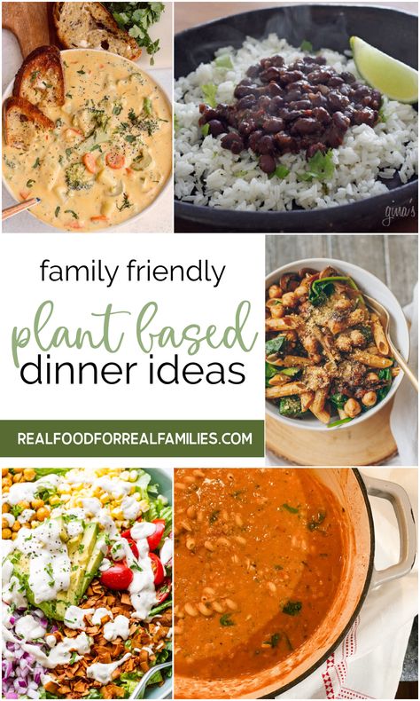 Plant Based Dinner Ideas, Plant Based Dinners, Family Vegetarian Meals, Vegan Family Dinner, Plant Based Diet Meal Plan, Big Family Meals, Plant Based Meal Planning, Plant Based Recipes Dinner, Plantbased Recipes