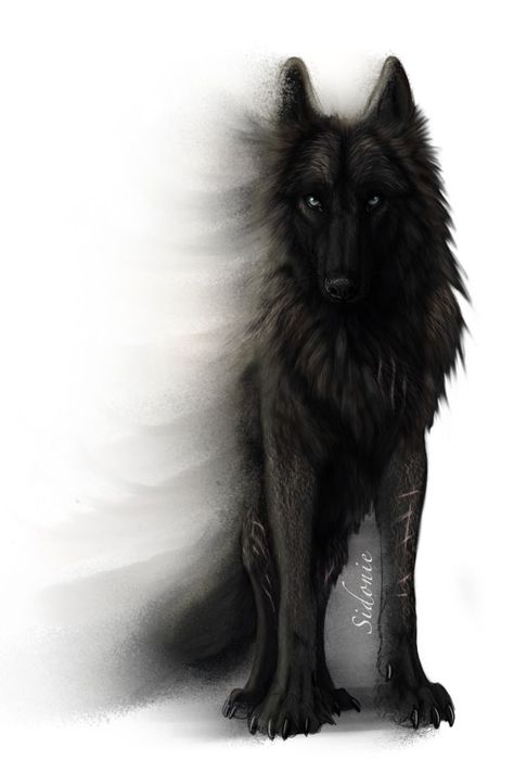 Drawing Wolf, Fenrir Tattoo, Art Wolf, Fantasy Wolf, Wolf Wallpaper, Wolf Drawing, Wolf Pictures, Wolf Spirit, Wolf Moon