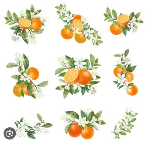 Orange Blossom Flower, Tree Branch Tattoo, Tangerine Tree, Fruit Tattoo, Branch Tattoo, Flower Orange, Wreath Drawing, Blossom Tattoo, Citrus Trees