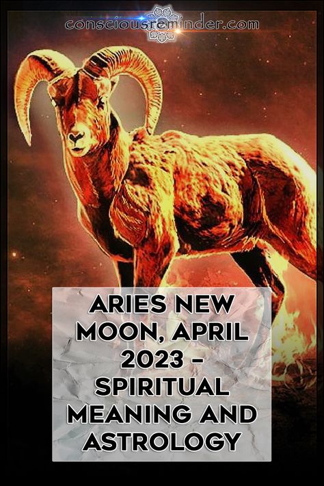 The New Moon is a potent celestial event with profound spiritual significance for those seeking deeper meaning in their lives. #consciousreminder #consciousreminderbeyond #consciousreminderknowing #newmoon #aries #april2023 #spiritualmeaning #astrology New Moon April, Aries New Moon, Celestial Event, Deeper Meaning, Deep Meaning, Spiritual Meaning, New Moon, Astrology, Meant To Be