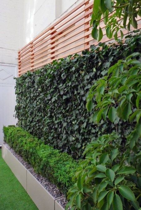 Beautiful yet functional privacy fence planter boxes ideas 21 Green Wall Fence, Tree Hedges Privacy Screens, Fake Plant Wall Outdoor, Fence Planting, Pool Screen, Fake Ivy, Box Hedging, Privacy Wall, Fence Planters