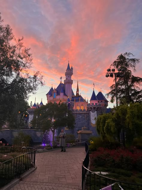 Aesthetic Disneyland, Disney Sunset, Disneyland Aesthetic Pictures, Disneyland Asethic, Disneyland Aesthetic California, Disneyland Aesthetic, Disneyland Pink Aesthetic, California Collage, Disneyland Castle Aesthetic