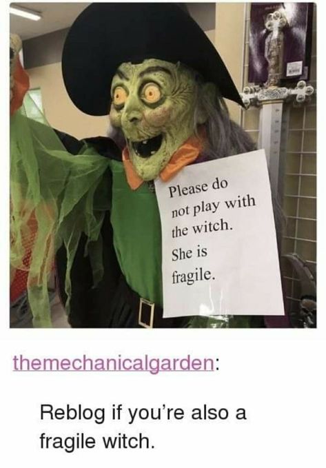 Witch Meme, The Witch, Nurse Humor, E Card, Bad Day, A Sign, Bones Funny, A Bad, Grinch