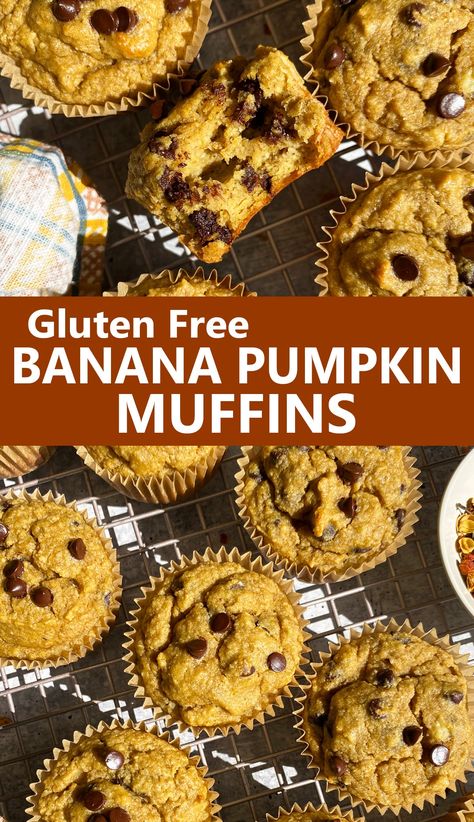 These gluten free banana pumpkin muffins are soft and chewy, made with pumpkin puree and only sweetened with bananas (no sugar added). This healthy pumpkin banana muffin recipe is paleo, gluten free and dairy free - kids love it too! Banana Pumpkin Muffins, Simple Muffins, Paleo Pumpkin Muffins, Pumpkin Banana Muffins, Gluten Free Pumpkin Recipes, Gluten Free Pumpkin Muffins, Pumpkin Muffin Recipes, Pumpkin Chocolate Chip Muffins, Mind Diet