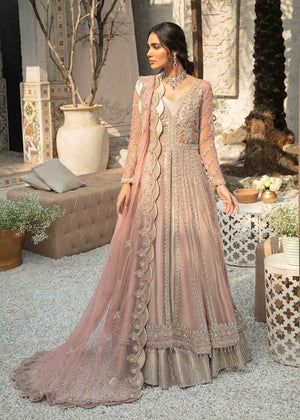 Net Gowns, Pakistani Wedding Dress, Chiffon Collection, Pakistani Bridal Dresses, Pakistani Wedding Dresses, Pakistani Bridal Wear, Net Dupatta, Shalwar Kameez, Pakistani Bridal