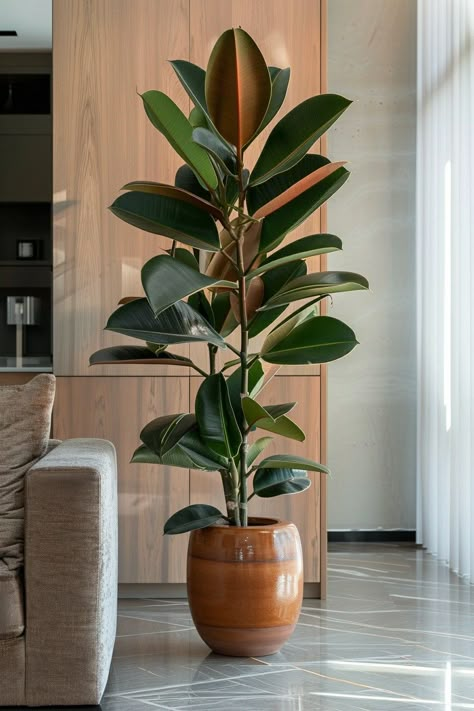 Indoor Trees Plants, Plants In Interior Design, Indoor Plant Design, Tall House Plants Indoor, Cast Iron Plant Indoor, Best Indoor Plants For Low Light, Office Plants Ideas Interior Design, Large House Plants Indoor, Office Plants Ideas