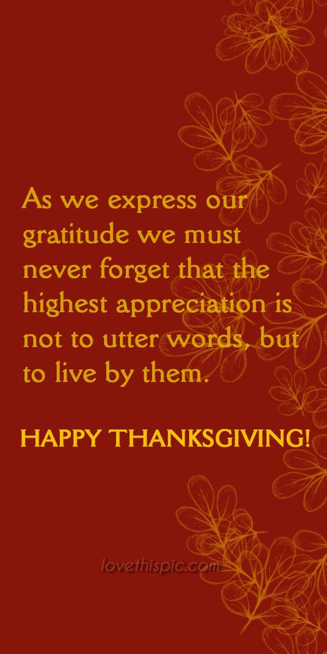 Gratitude happiness thanks gratitude thanksgiving pinterest pinterest quotes friendships blessings thanksgiving quotes Quotes On Thanksgiving, Friendsgiving Quotes Be Thankful, Lds Gratitude Quotes Thanksgiving, Thanksgiving Quotes Family Grateful Heart, Thanksgiving Day Card Sentiments, Happy Thanksgiving Pictures, Thanksgiving Gratitude, Thanksgiving Messages, Healthy Living Quotes