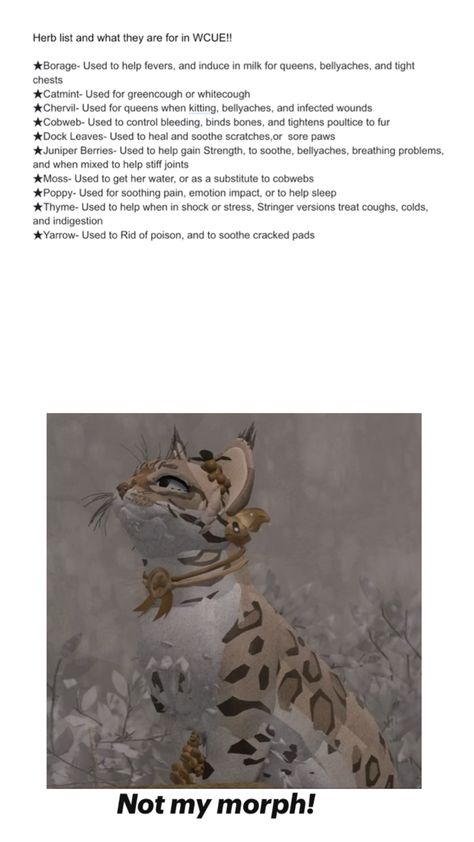 Like it? Good, I have more for you at my profile!! Warrior Cats Herbs, Cat Medicine, Herbs List, Breathing Problems, Juniper Berry, Warrior Cat, Warrior Cats, My Profile, Poppies