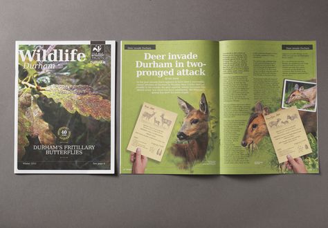 Wildlife Magazine Layout, Wildlife Magazine Cover, Animal Magazine Design, Animal Magazine Cover, Nature Magazine Cover, Environmental Magazine, Scientific Magazine, Nature Editorial, Magazine Page Layouts