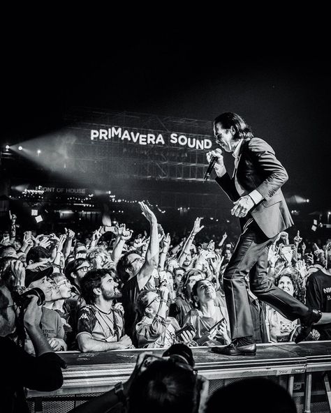 Primavera Sound Festival, Primavera Sound, Nick Cave, Barcelona, Sound, Festival, Concert, Movie Posters, On Instagram