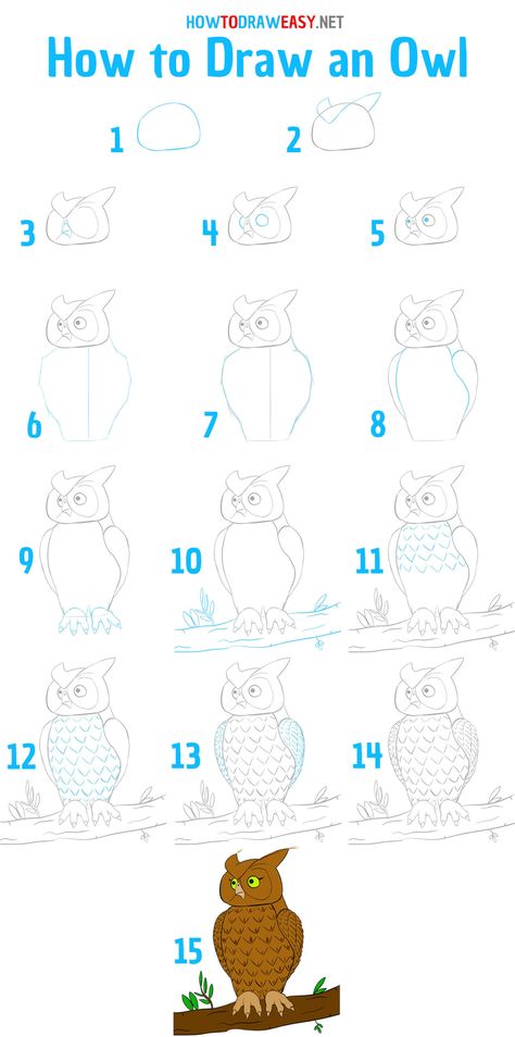 How to Draw an Owl Step by Step #Owl #anOwl #OwlDrawing #HowtoDrawanOwl #EasyOwlDrawing #OwlSketch #OwlSketching #ArtWork #Art #EasyDrawingArt #AnimalsDrawing #DrawingAnimals #HowtoDrawAnimals #OwlEyes Owl Drawing Simple, Draw An Owl, Draw Doodles, Owl Sketch, Easy Animal Drawings, Drawing Stars, Draw Easy, Bird Drawing, Draw Animals