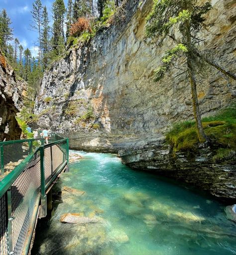 Johnston canyon in Banff 2021 Johnston Canyon Banff, Johnston Canyon, Water, Travel