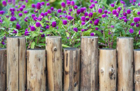 5 Flower Bed Edging Ideas: How to Edge a Garden Bed - 2023 - MasterClass Flower Beds Diy, Log Planters, Wooden Garden Edging, Flower Bed Borders, Flower Bed Edging, Log Planter, Garden Wood, Garden Border, Gardening Landscaping