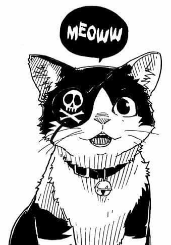 Pirate Cat, Arte Indie, White Drawing, Arte Sketchbook, Arte Fantasy, Cat Illustration, Cat Tattoo, Cat Drawing, 귀여운 동물