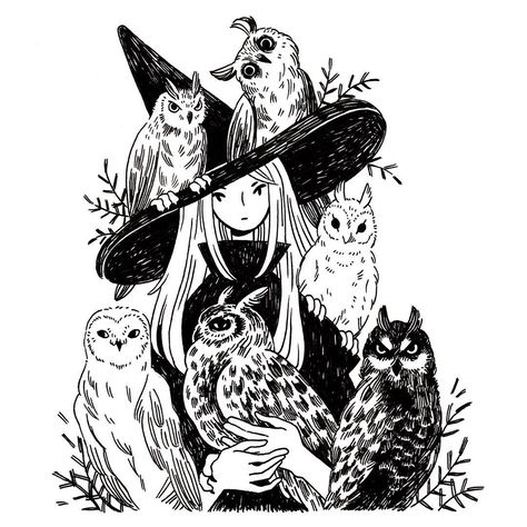 Heikala (@heikala) on Instagram: A witch and six owl familiars Witch Drawing, Bel Art, Witch Art, Art Et Illustration, A Witch, Art And Illustration, Fantasy Illustration, Drawing Tutorials, Halloween Skull