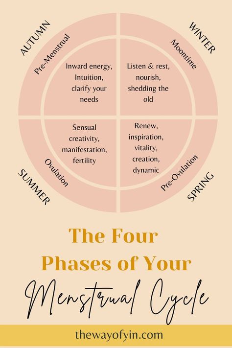 Your menstrual cycle consists of four phases. These four phases move in a cycle of growth and decomposition like the seasons. We are different everyday as we move along this continuum. Inner Winter Menstrual Cycle, Cycle Chart, Cyclical Living, Cycle Care, Feminine Lifestyle, Menstrual Blood, Menstrual Cycle Phases, Period Cycle, Hormone Diet