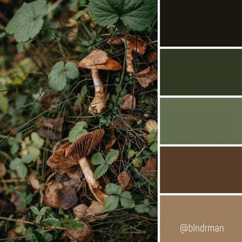 Dark Green Room Color Palette, Frog And Toad Color Palette, Colour That Goes With Green, Forest Aesthetic Color Palette, Moss Colour Palette, Cottagecore Wedding Colors, Green Academia Color Palette, Dark Green Palette Colour Schemes, Forest Palette Color