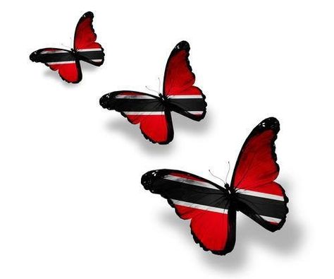 Trini butterfly's!!!!!!!! Trinidadian Tattoo Ideas, Trinidad And Tobago Tattoo Ideas, Trinidadian Tattoos, Caribbean Tattoo Ideas For Women, Trinidad Tattoo Ideas, Trinidad Tattoo, Trinidad Culture, Trinidad And Tobago Map, Trinidad Flag