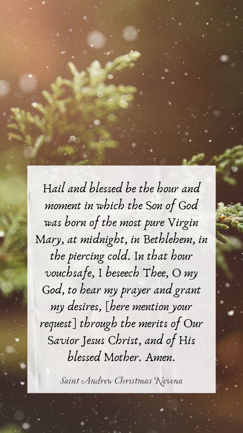 Saint Andrew, Catholic Wallpaper, Wallpaper Christmas, Free Phone Wallpaper, Our Savior, St Andrews, The Saint, Son Of God, Simple Words