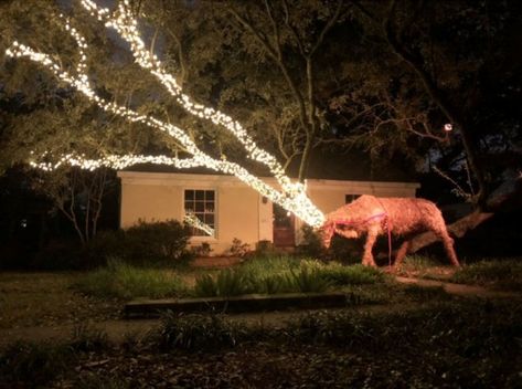 This neighbor creates a beautiful, artistic reindeer over the holidays. Christmas Door Decorating Contest, Door Decorating Contest, Brother Christmas, Christmas Light Displays, Xmas Lights, Charlie Brown Christmas, Merry Christmas To All, Memes Br, Perfect Timing