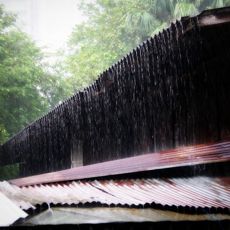 Rain sharply pounds a metal roof in an almost musical and rhythmic fashion. Requested by many of our users, the sound paints a unique aural tapestry with the calming sound of raindrops and the harmonic colors of metal. Calming Sound, Calming Sounds, White Noise, Metal Roof, Rain Drops, The Sound, Roof, Ios, Musical