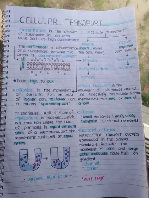 Cytoskeleton Notes, Cell Transport Notes, Cell Biology Notes, Gcse Biology, Bio Notes, Biochemistry Notes, Nursing School Essential, Study Biology, Nurse Study Notes