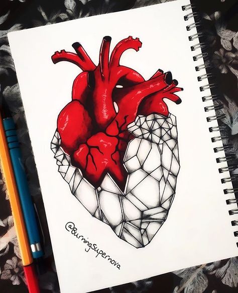 I've got a diamond heart that you can't break. ✨♥️ ______________________________________ #Diamond #Heart #StoneHeart #HumanHeart #AnatomicalHeart #GeometricArt #PositiveVibes #StayingStrong #ShineBrightLikeADiamond #TattooIdea #SupernovasArt Another original piece by yours truly w/o reference. Colored pencils on red marker + black ink pen + pencil. Heart Anatomy Tattoo, Heart Drawing Ideas, Romantic Sketches, Human Heart Drawing, Marker Black, Heart Artwork, Drip Art, Tattoos For Lovers, Heart Sketch