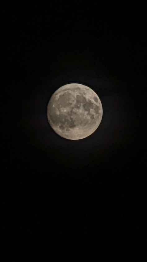 Tonight, the Full Moon is at her peak, a powerful time for releasing, recharging, and setting intentions 🌝  Whether you’re a believer in Moon magic or simply appreciate the beauty of a Full Moon night, this evening is a reminder of the natural cycles that guide us 🌱 Embrace the energy, let go, and step into what’s next #fullmoon #moonmagic #wyrdbooks #witchesofpinterest Natural Cycles, Setting Intentions, Full Moon Night, Moon Night, The Full Moon, Moon Magic, Let Go, Full Moon, Letting Go