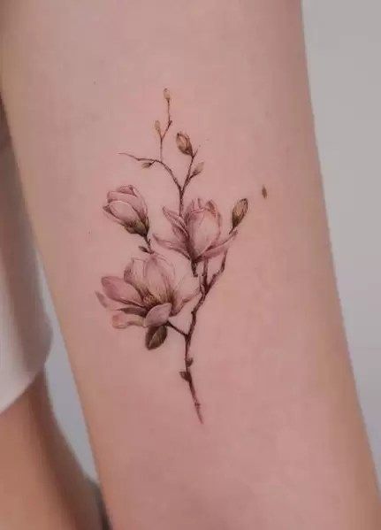 Flower Vine Tattoos, Magnolia Tattoo, Tattoos Infinity, Tattoo Meanings, Branch Tattoo, Tattoos Mandala, Flower Tattoo Back, Beautiful Flower Tattoos, Inspiration Tattoo